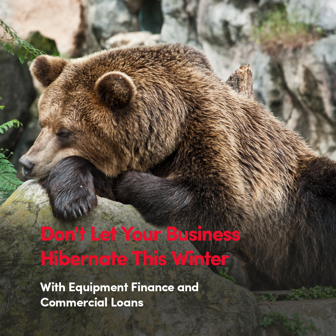 Hibernate Insights And LI Image