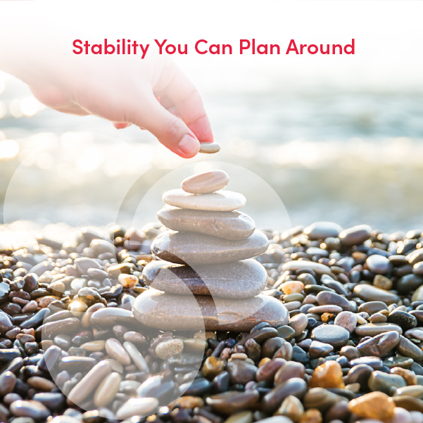 Spring Insights Stability
